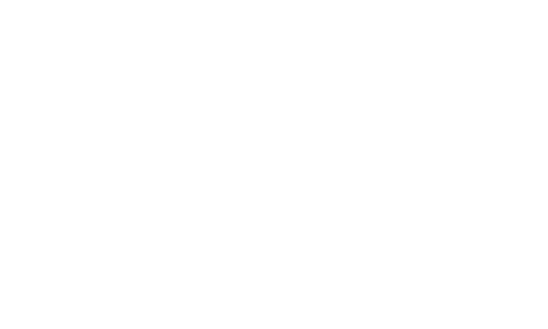 dubyausa